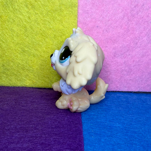 Littlest Pet Shop #135 Labradoodle Puppy