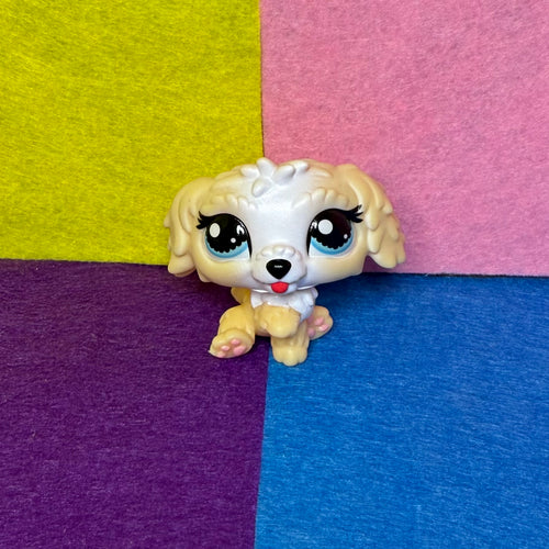 Littlest Pet Shop #135 Labradoodle Puppy